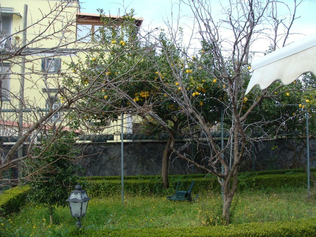 Villa Luisa 포르티코 디 로마냐 외부 사진